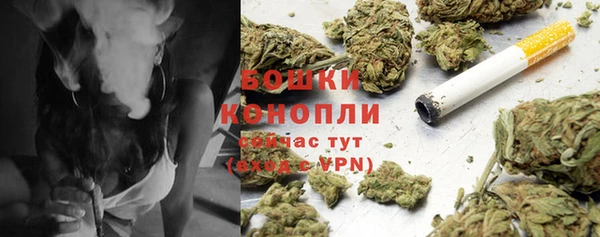 молекула духа Нягань