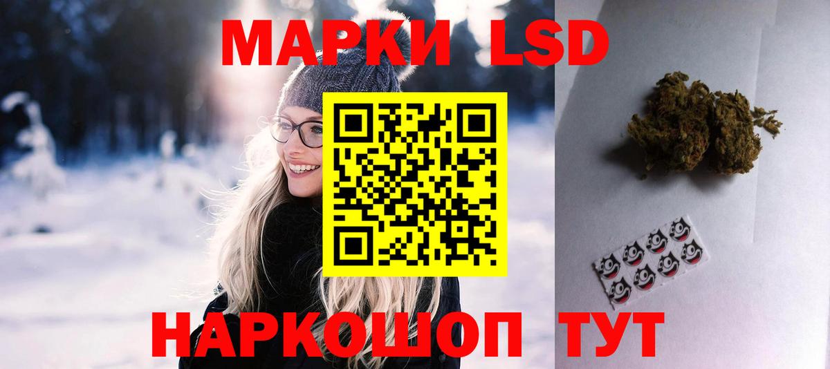 Сунжа  ЛСД экстази  Вход с VPN  LSD-25 экстази кислота  LSD-25 экстази кислота 
